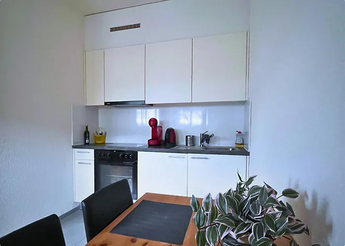 Hsh Elegant Vaudois Appartement *