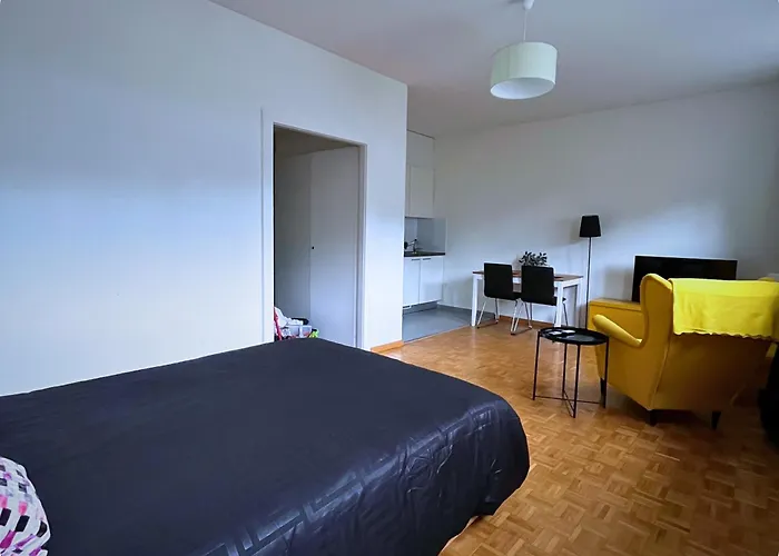 Hsh Elegant Vaudois Appartement *